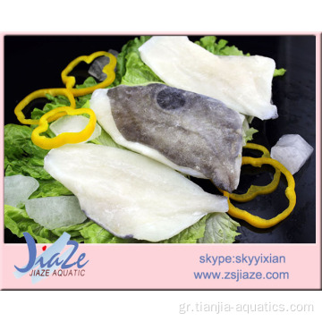 IQF Frozen John Dory φιλέτο ψαριού PBO PBI